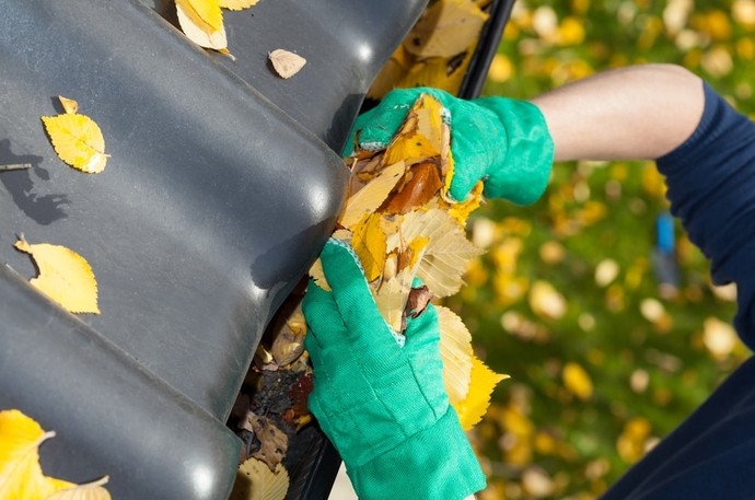Как использовать осенние листья на садовом участке и дома - «Советы Хозяйке»