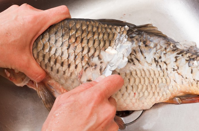 Чистим рыбу легко и чисто - «Советы Хозяйке»