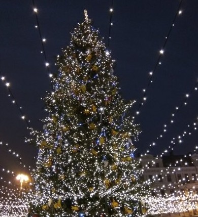 Зажжение новогодней ёлки в Киеве - «Советы Хозяйке»