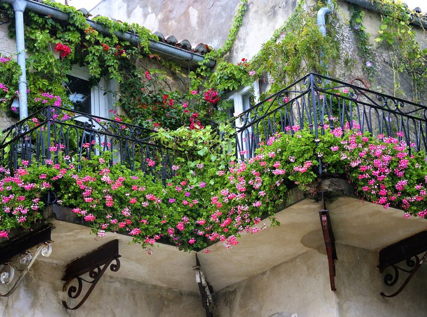 Как обустроить сад и огород на балконе - «Уют и комфорт»