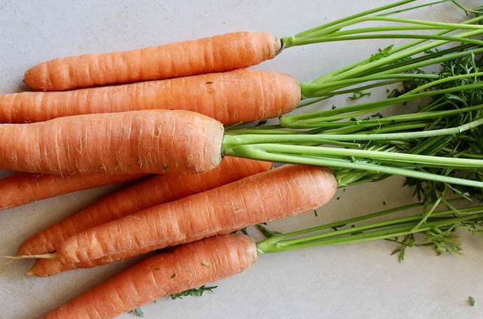 Подкормка моркови в августе 2023 года - «Сад и огород»