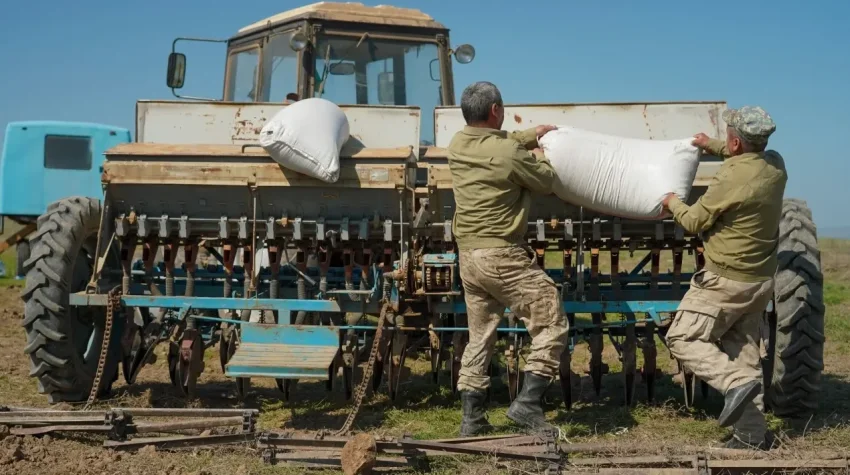 Минсельхоз Казахстана выделил квоту на тысячу мигрантов для строительства в сёлах - «Уют и комфорт»