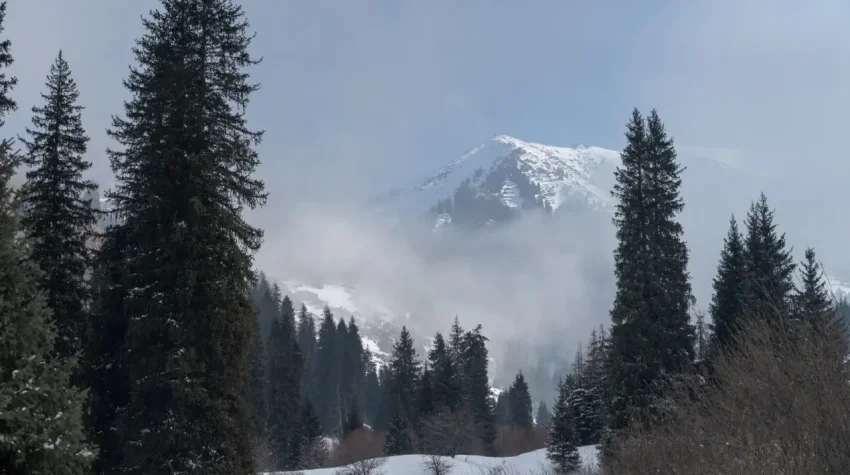 Общественные слушания по строительству курорта в Кок-Жайляу пройдут в Алматы  - informburo.kz - «Уют и комфорт»