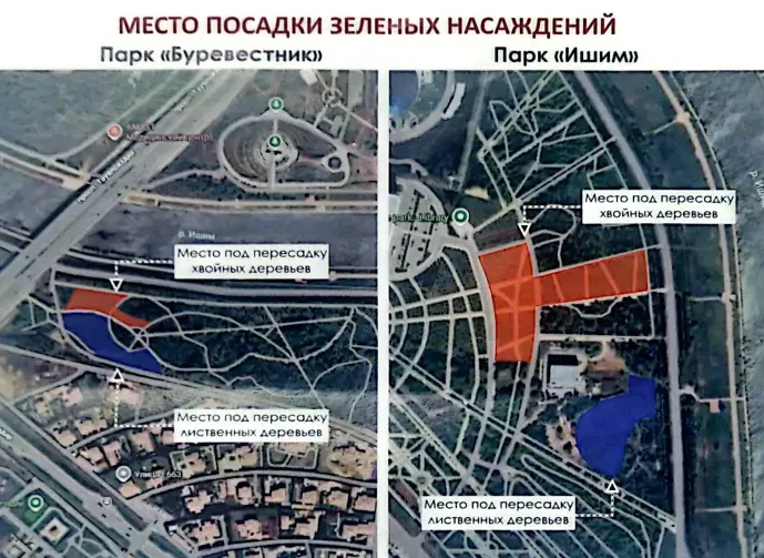Строительство тоннеля в Астане: откуда появились пеньки, если все деревья пересадили - informburo.kz - «Уют и комфорт»